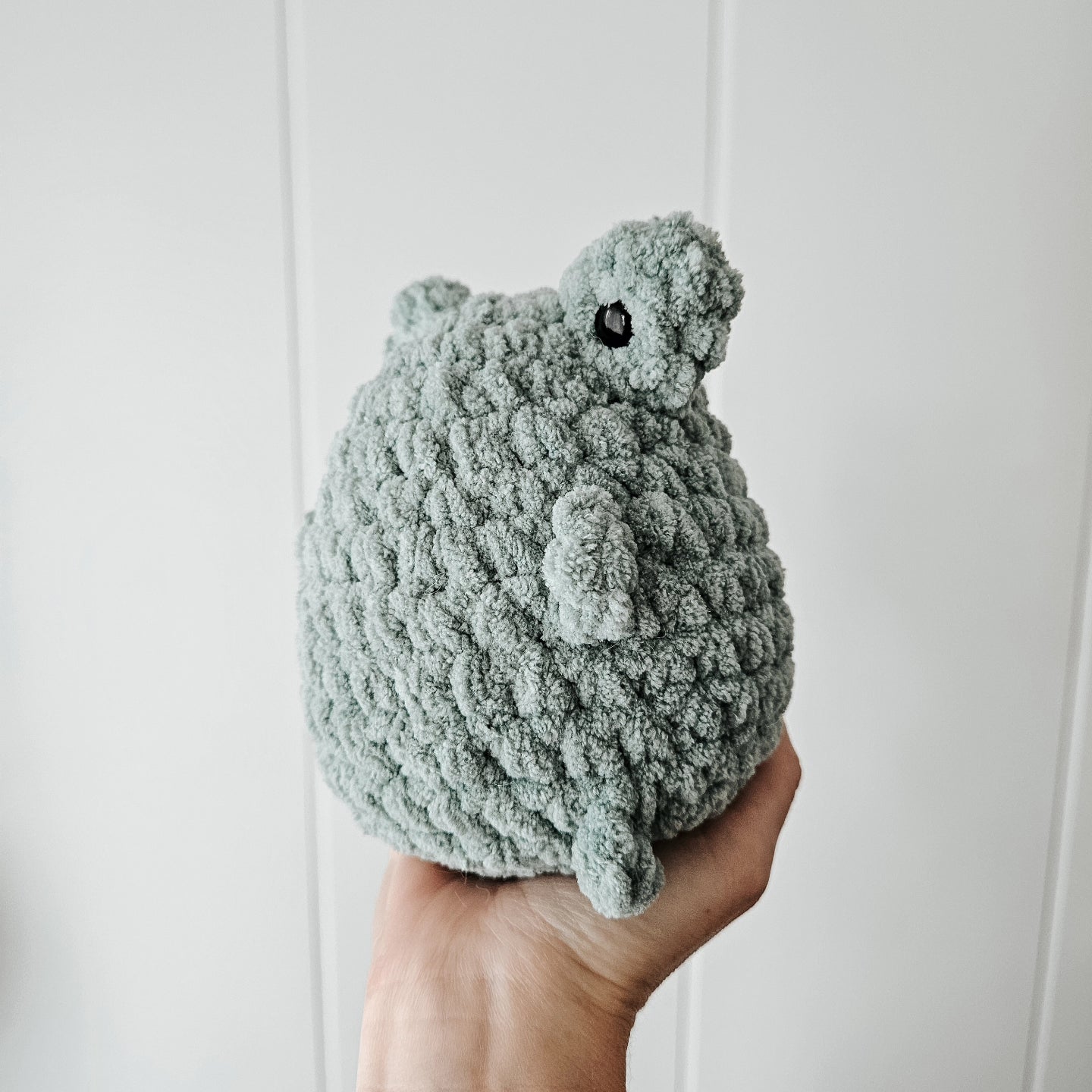 Frog Chubby Buddy (Crochet Pattern)